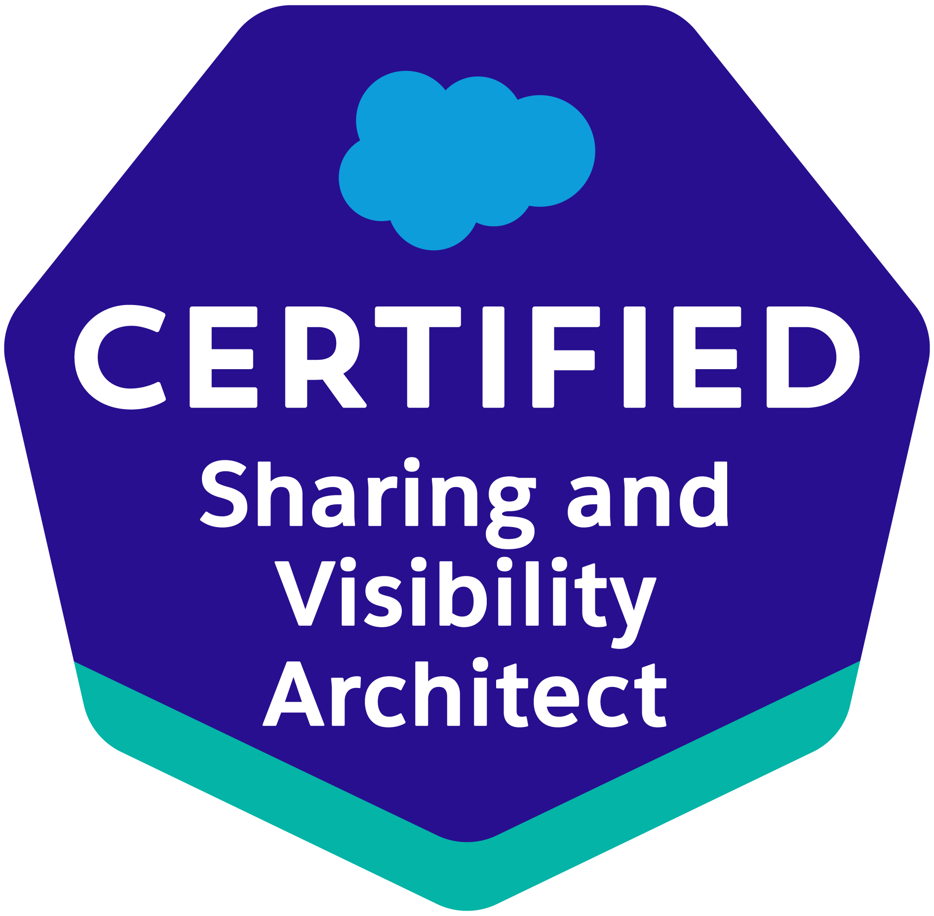 Salesforce Certified Sharing and Visibility Architect